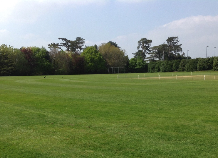 a large green sports field with trees in the background and a cricket pitch